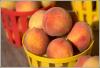 Photo for Gilbert Peach Festival in Lexington County FREE and FUN