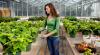 Photo for Cultivate Hydroponic & Organic Garden Center