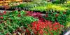 Photo for Cultivate Hydroponic & Organic Garden Center