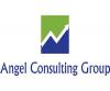 Photo for Angel Consulting Group