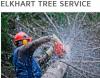 Photo for Elkhart Tree Service