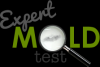 Photo for Expert Mold Test