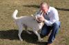 Photo for Sport Dog Collars: Favourite of Dog Trainers and Owners