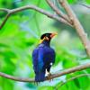 Photo for Avian & Exotics Center of Nashville
