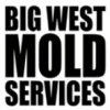 Photo for Big West Mold Services