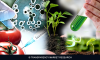 Photo for Pulmonary Arterial Hypertension (PAH) Market Expected to Reach USD 5.19 Billion Globally in 2020