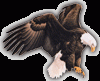 Photo for Excellance, Inc.