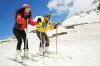 Photo for Shimla Manali Tour Package ! Darjeeling Gangtok Packages ! Tours And Travels In Delhi