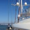 Photo for Reliable Marine Electronics