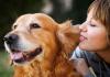 Photo for Petland Cemetery Inc