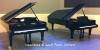 Photo for Piano movers interstate Services