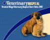 Photo for Oriental Village Veterinary Hospital