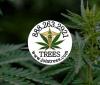 Photo for Trees
