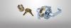 Photo for Locksmith Services for the Lafayette area