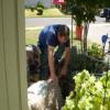 Photo for Don Nichols Plumbing