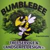 Photo for Bumblebee Tree Service & Landscape Design LLC