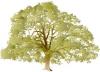 Photo for Everlending Group - We look forward to serving your lending needs! 
