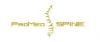 Photo for Spine Tumor Treatment Options Los Angeles