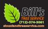 Photo for Bill's Tree Service