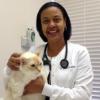 Photo for Angel Animal Hospital
