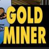 Photo for The Goldminer