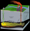 Photo for Underground Coal Gasification Market Segment Forecasts up to 2020, Research Reports