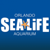 Photo for SEA LIFE Orlando Aquarium