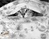 Photo for Hand Drawn Davinci Pencil Sketch Art