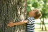 Photo for Baytown Tree Care
