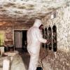 Photo for Conscientious Cleaning