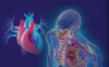 Photo for Nevada Heart and Vascular Center