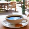 Photo for Java Junction