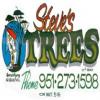 Photo for Steve's Trees