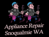 Photo for Snoqualmie Appliance Repair