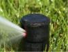 Photo for D&M Landscape Maintenance Inc